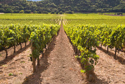 Lawmakers in the European Union have been turning their attention to wine in recent weeks Lawmakers in the European Union have been turning their attention to wine in recent weeks