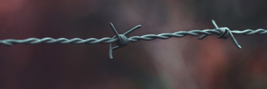 UN Human Rights Council targets companies over Xinjiang forced labour