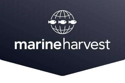 Marine Harvest Q4 Earnings Flat Food Industry News Just Food