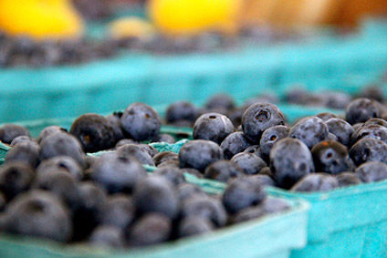 Chilean fruit group David Del Curto majority stake sold to Manulife Investment Management - Vimarsana News