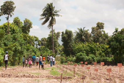 Timberland launches first products made with Haitian cotton - Vimarsana News