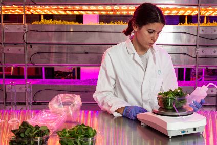 Heck eyes vegan product innovation with vertical-farming move - Vimarsana News