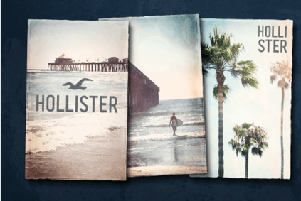 about hollister brand