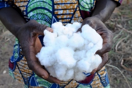 SUSTAINABILITY: Organic cotton market growing again